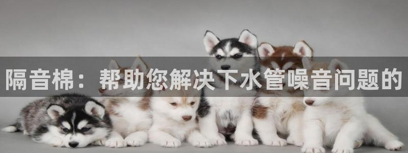 富邦娱乐 全礴网