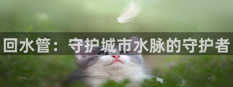 杭州临平富邦娱乐厅