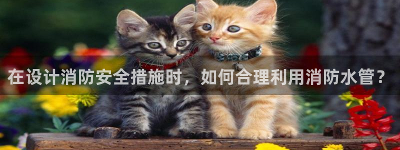 富邦娱乐团购卡怎么用啊