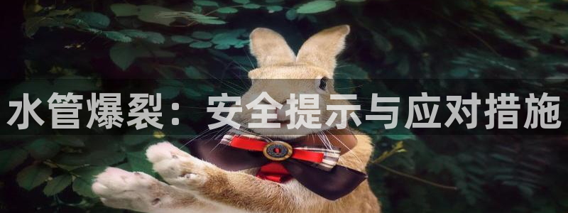 富邦娱乐彩票官网