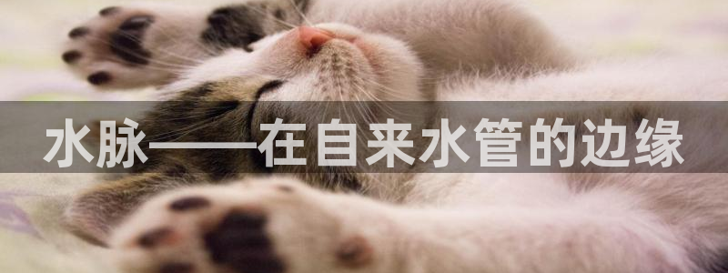 富邦娱乐平台地址