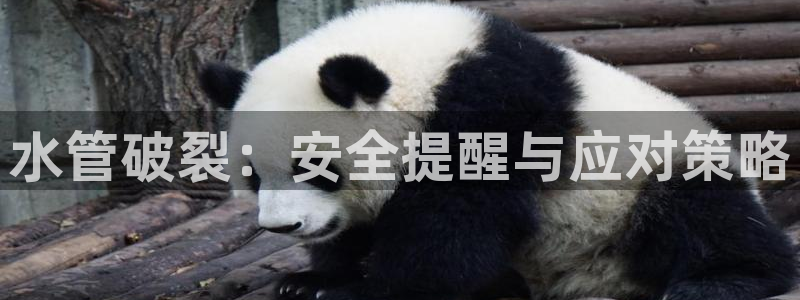 上海邦富娱乐有限公司