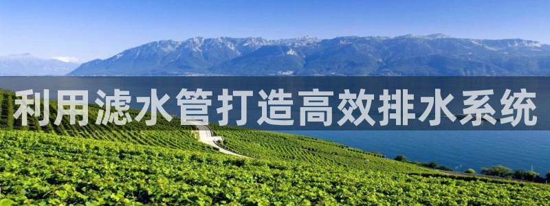 富邦娱乐官网 全礴网