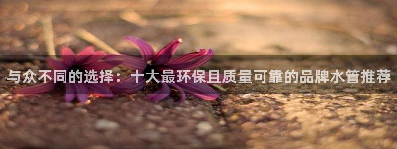 杭州富邦丽晶娱乐会所